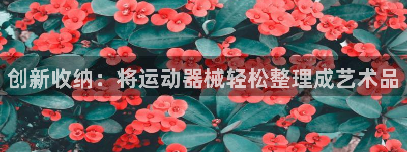 征途国际娱乐下载:创新收纳:将运动器械轻松整理成艺术品